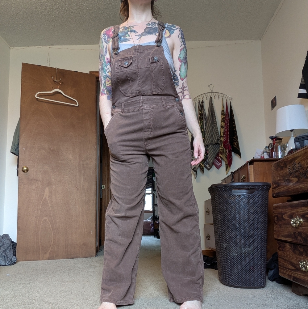 American Eagle Outfitters Brown Overalls